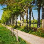 Eifelverein Vorstellung