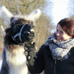 Auf Tuchfühlung mit den Venn-Lamas